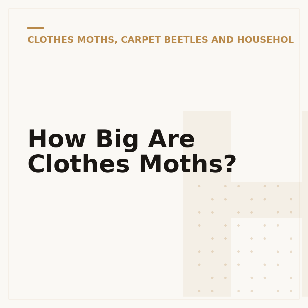 How Big Are Clothes Moths?