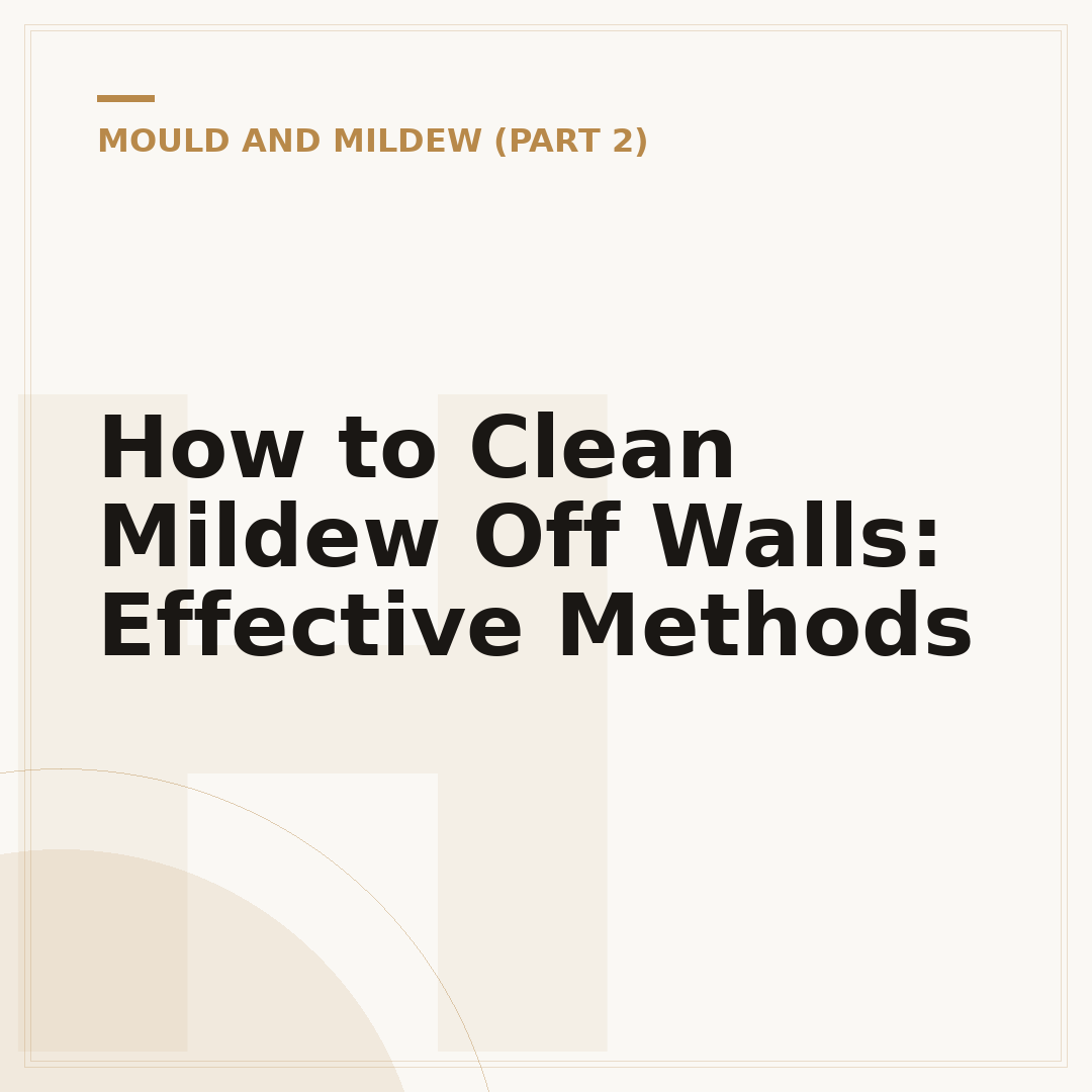 How to Clean Mildew Off Walls: Effective Methods
