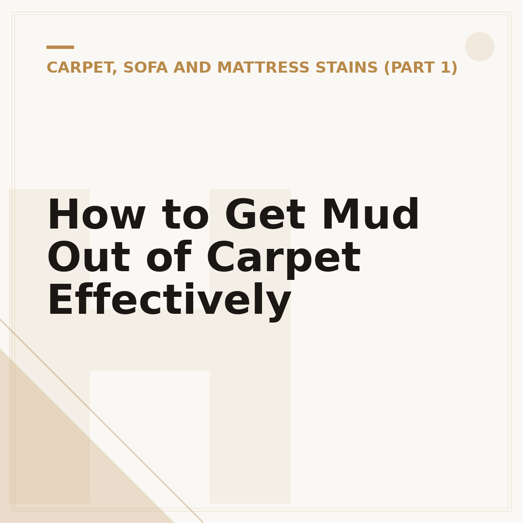 How to Get Mud Out of Carpet Effectively