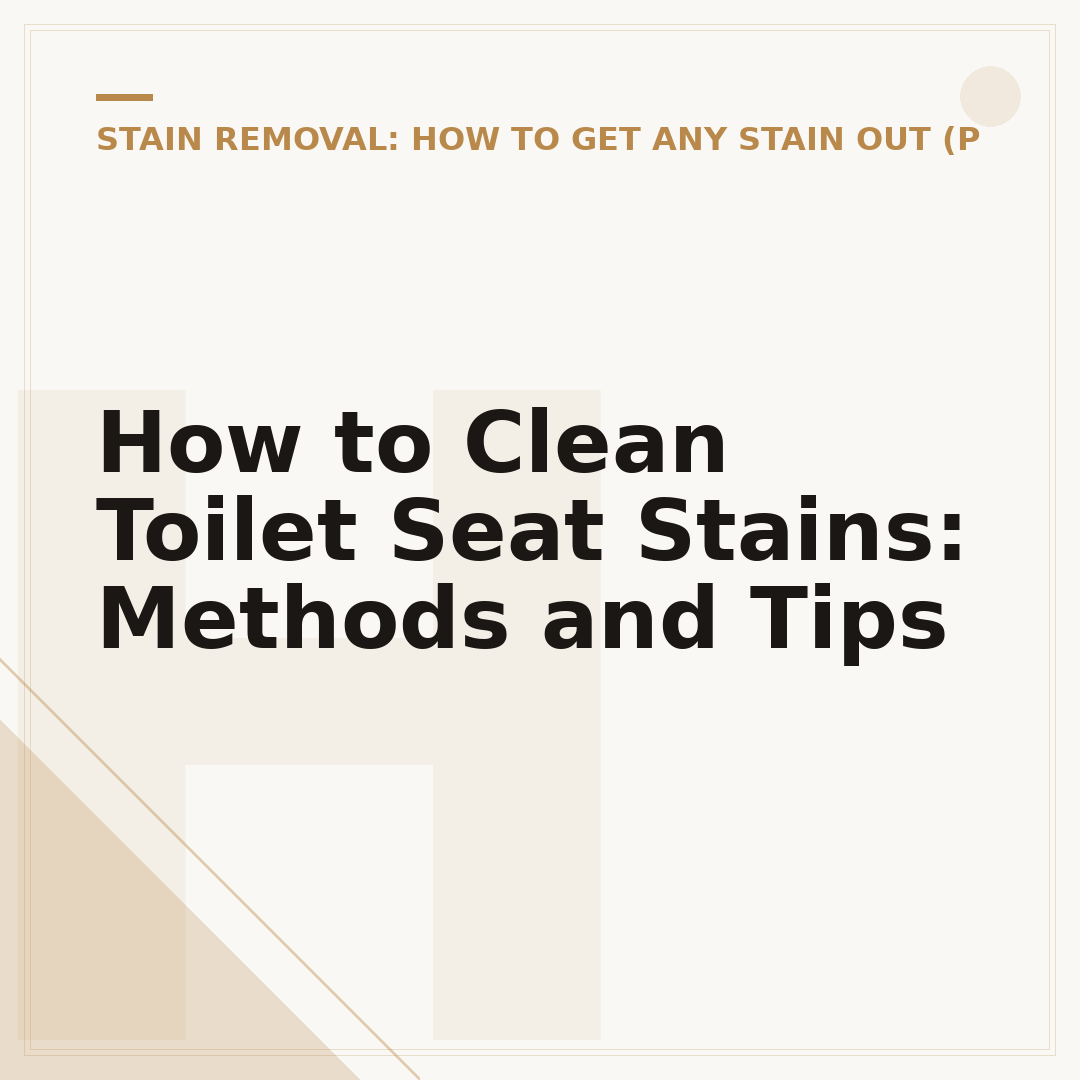 How to Clean Toilet Seat Stains: Methods and Tips