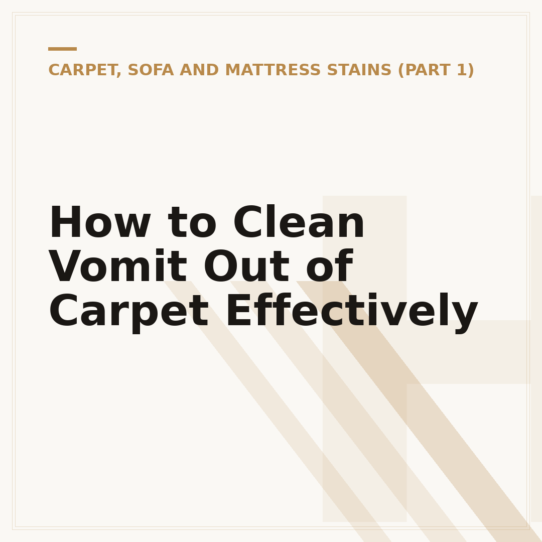 How to Clean Vomit Out of Carpet Effectively