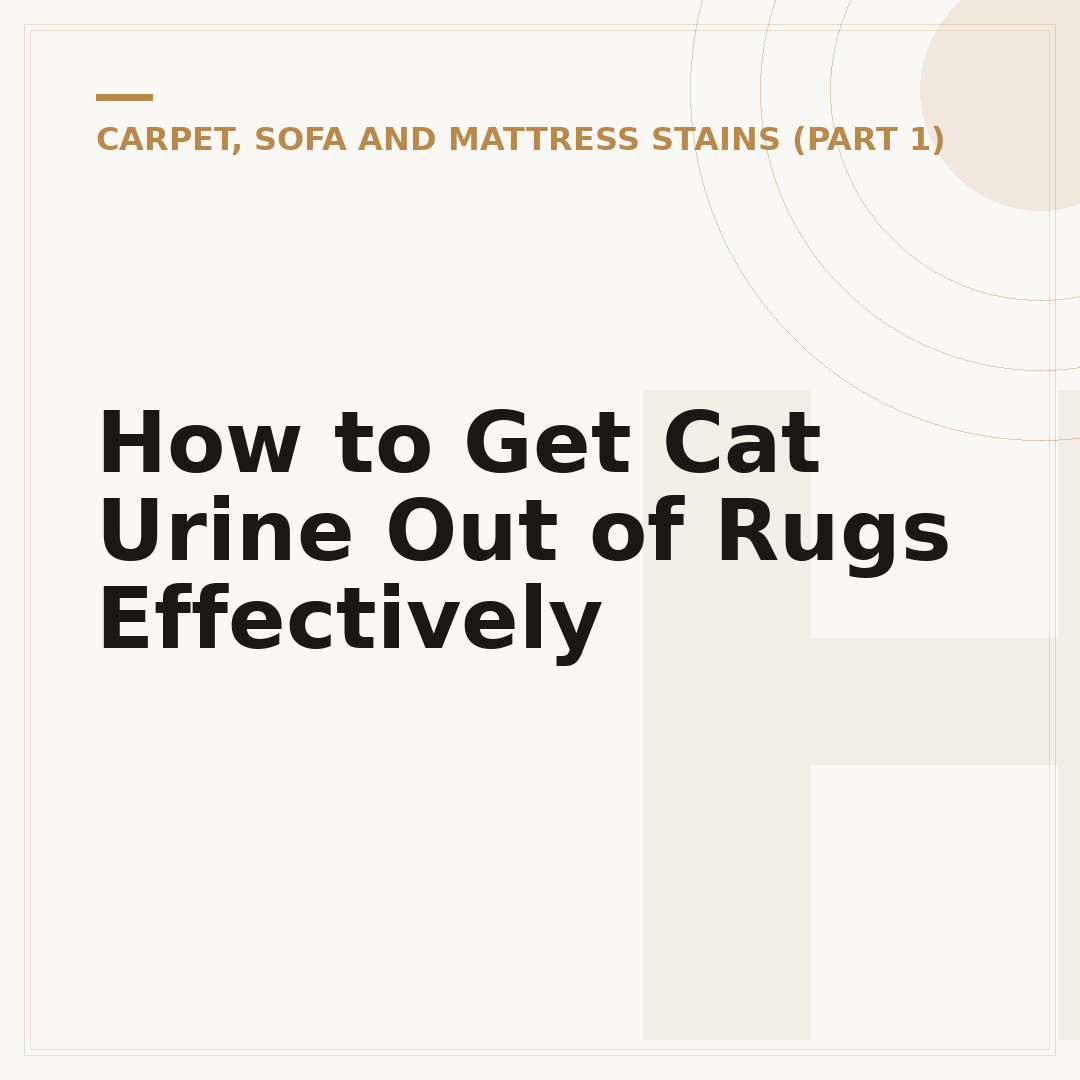 How to Get Cat Urine Out of Rugs Effectively