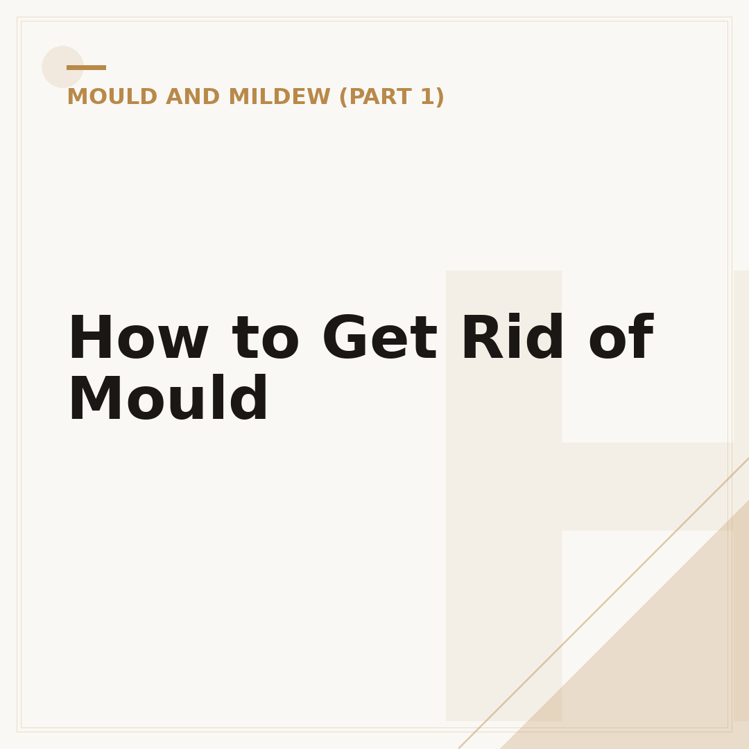 How to Get Rid of Mould