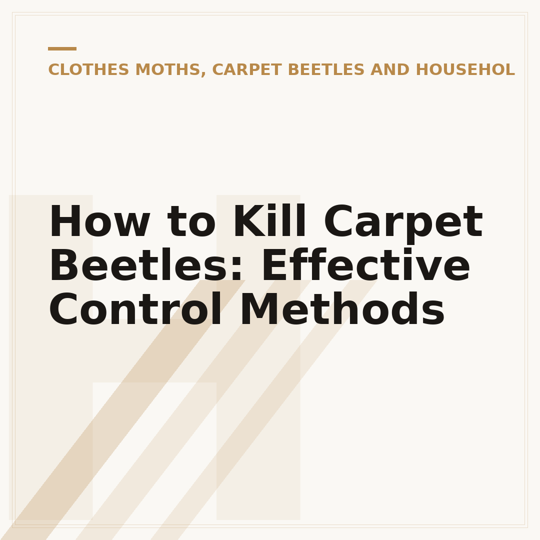 How to Kill Carpet Beetles: Effective Control Methods