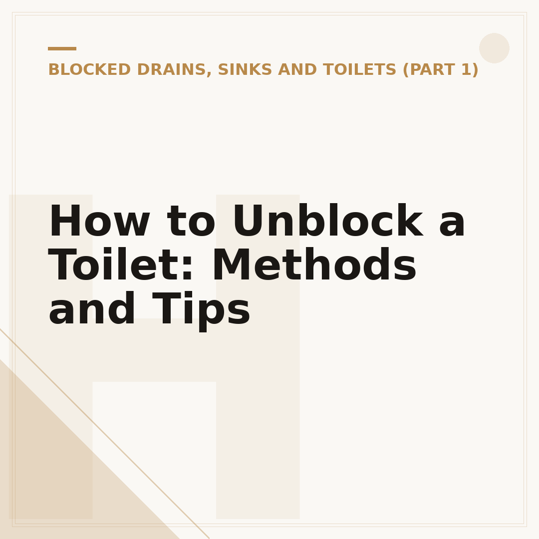 How to Unblock a Toilet: Methods and Tips