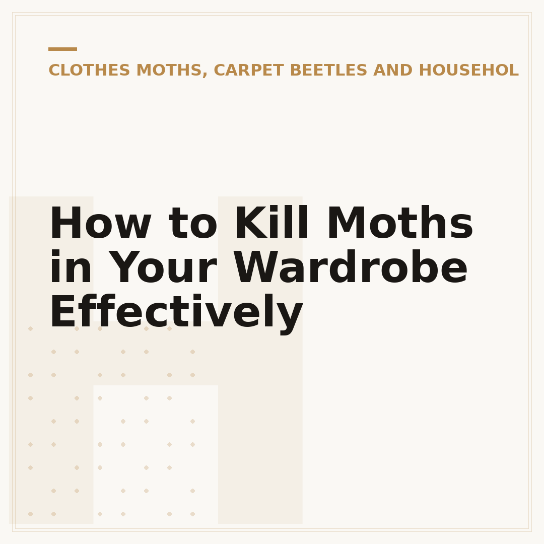 How to Kill Moths in Your Wardrobe Effectively