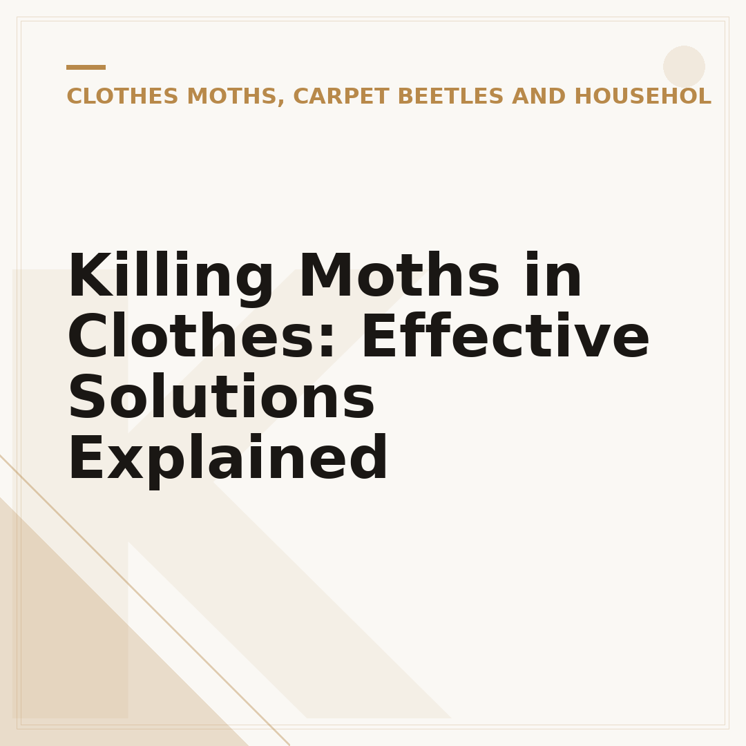 Killing Moths in Clothes: Effective Solutions Explained