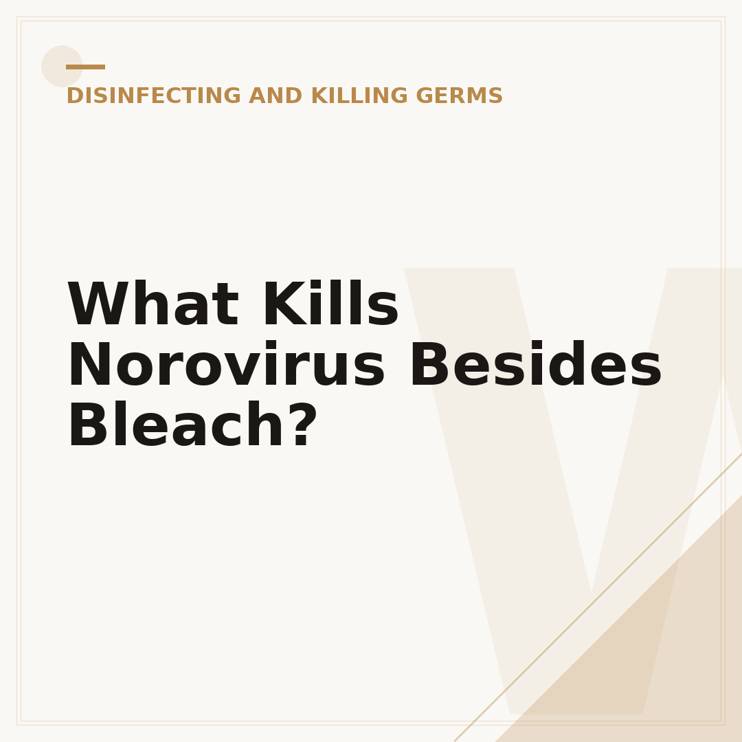 What Kills Norovirus Besides Bleach?