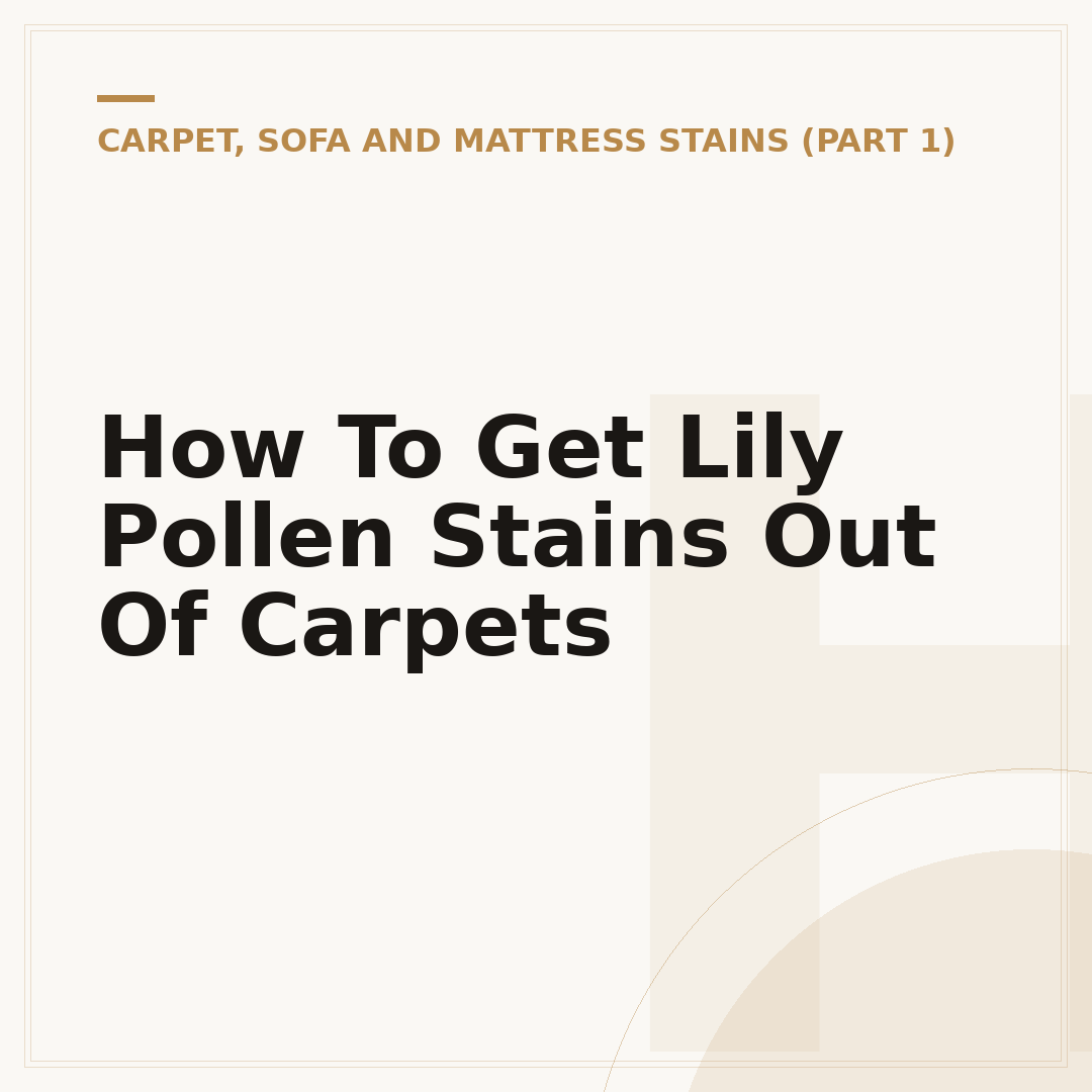 How To Get Lily Pollen Stains Out Of Carpets