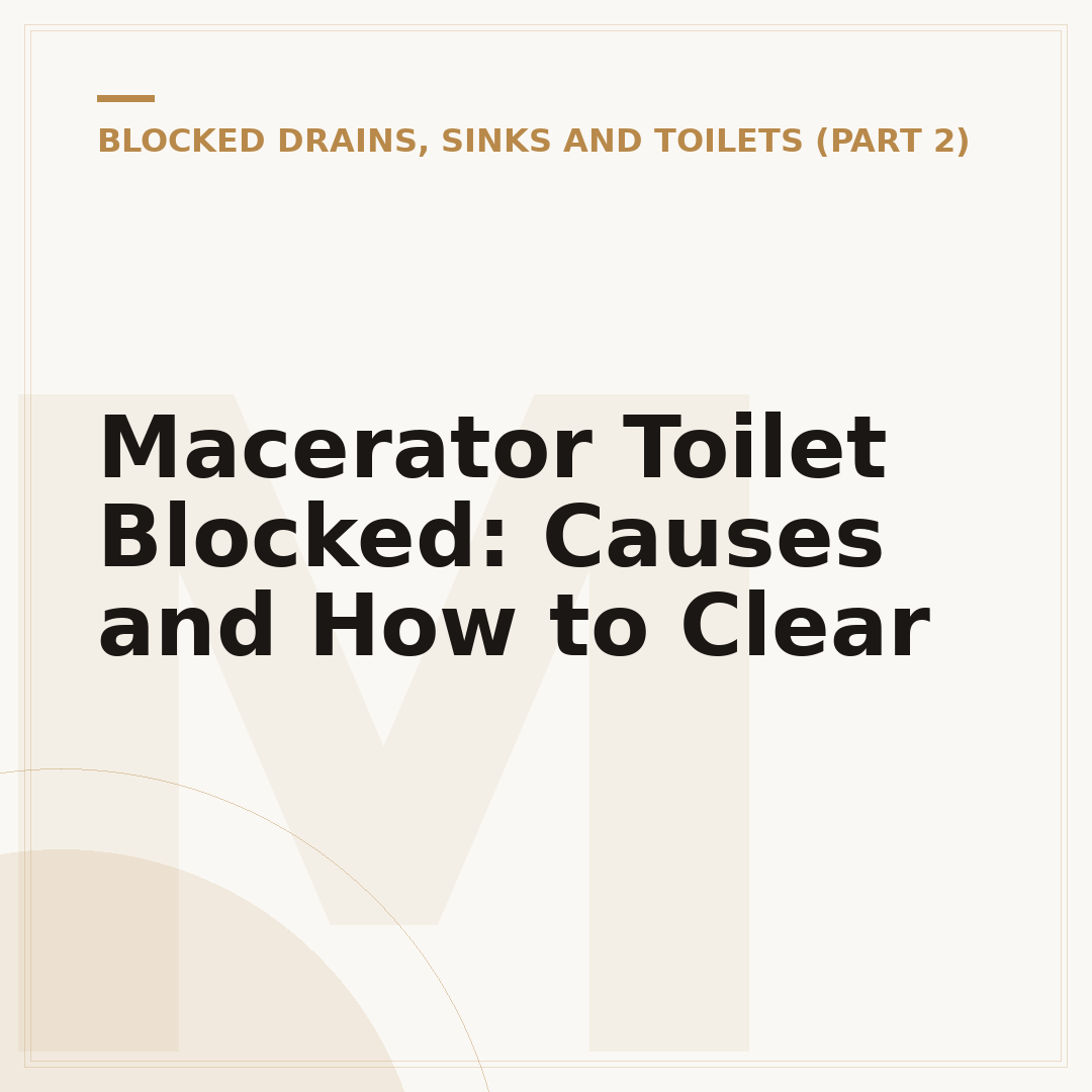 Macerator Toilet Blocked: Causes and How to Clear