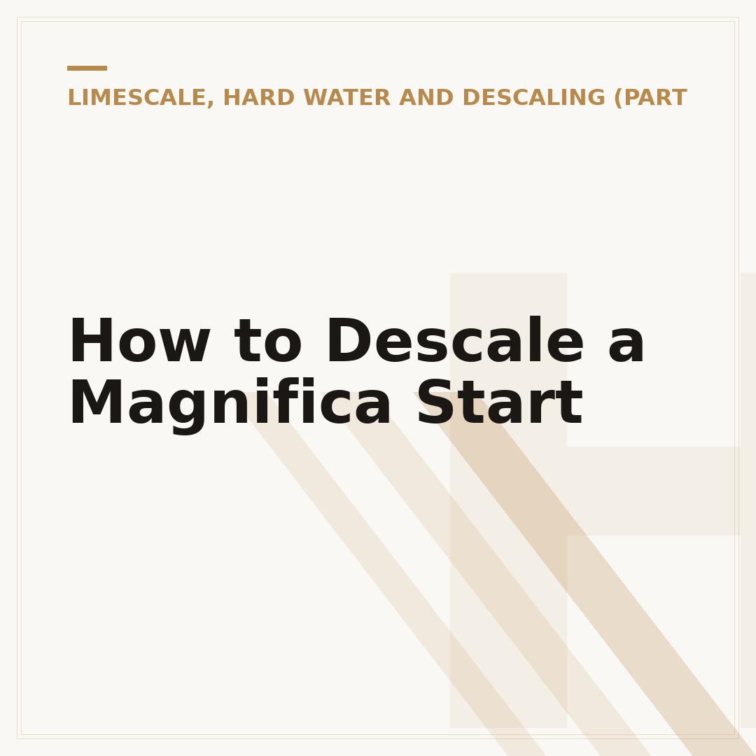 How to Descale a Magnifica Start