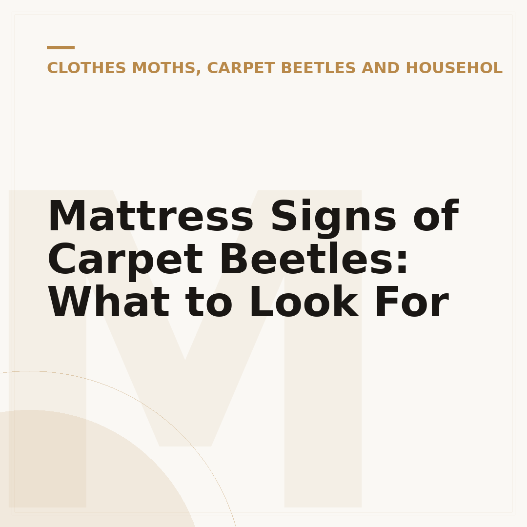 Mattress Signs of Carpet Beetles: What to Look For
