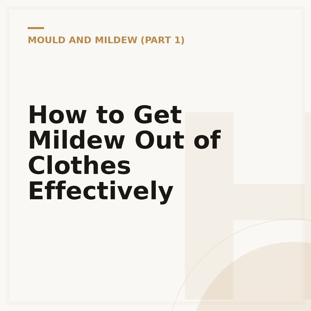 How to Get Mildew Out of Clothes Effectively