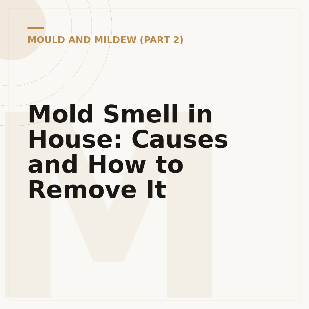 Mold Smell in House: Causes and How to Remove It