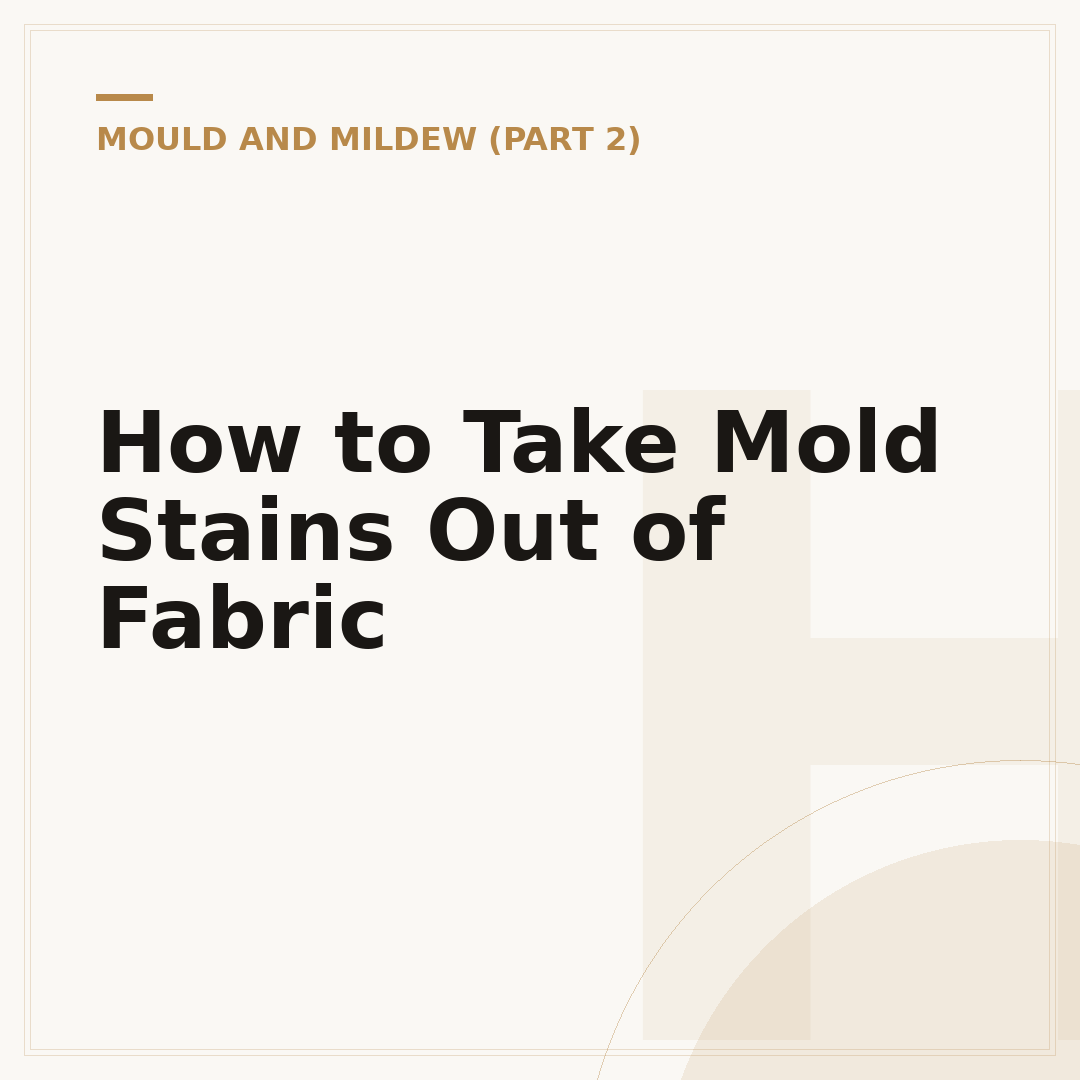 How to Take Mold Stains Out of Fabric