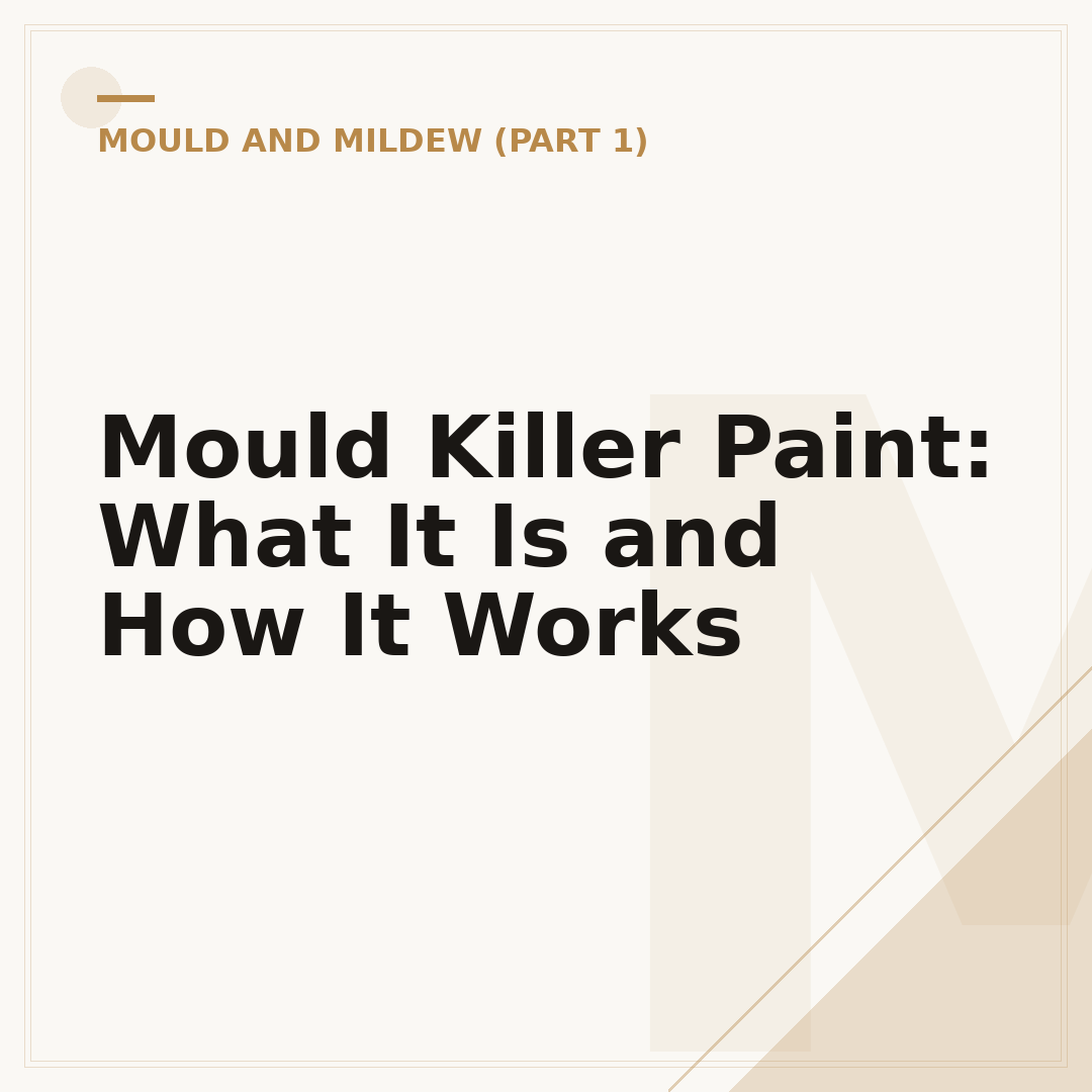Mould Killer Paint: What It Is and How It Works