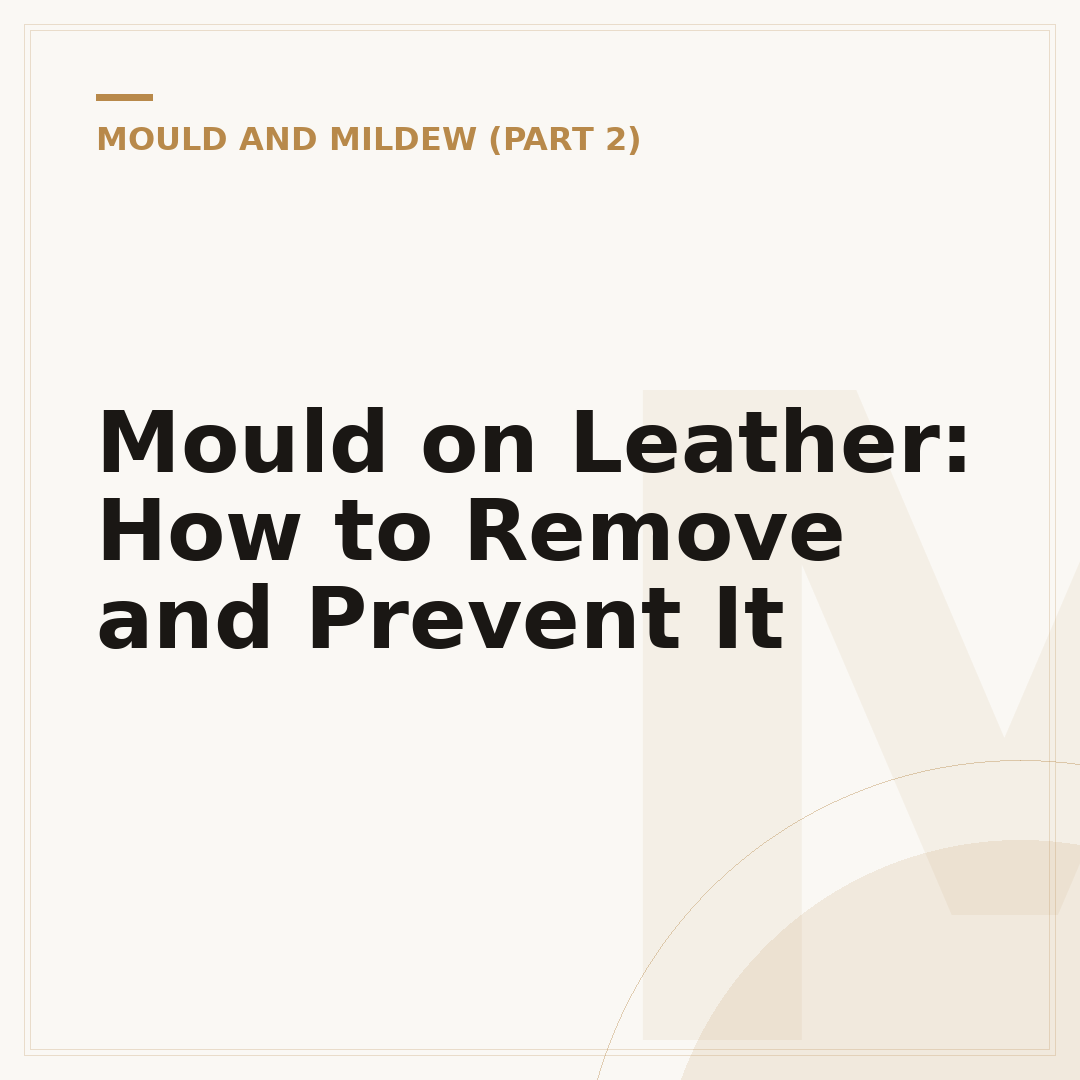 Mould on Leather: How to Remove and Prevent It