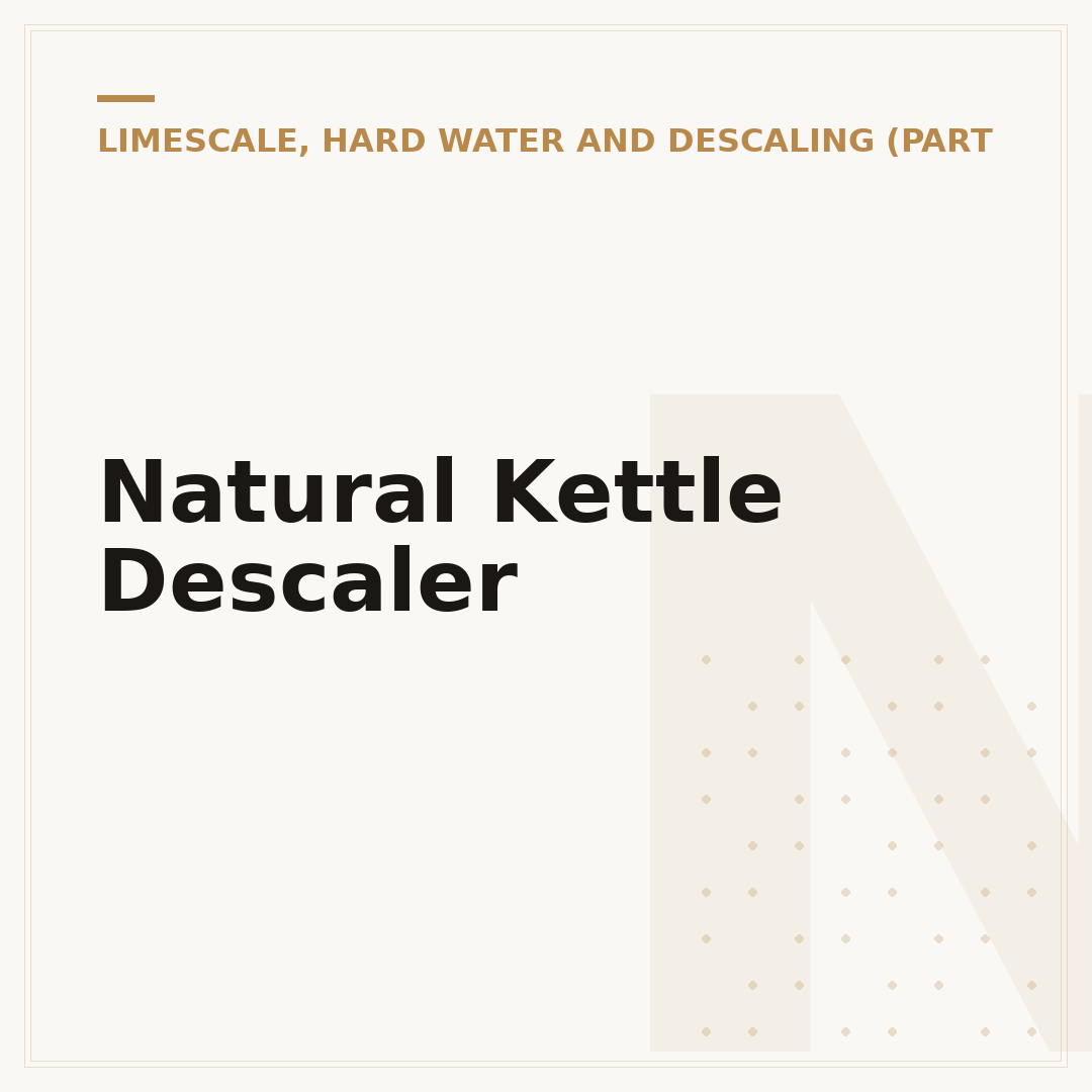 Natural Kettle Descaler