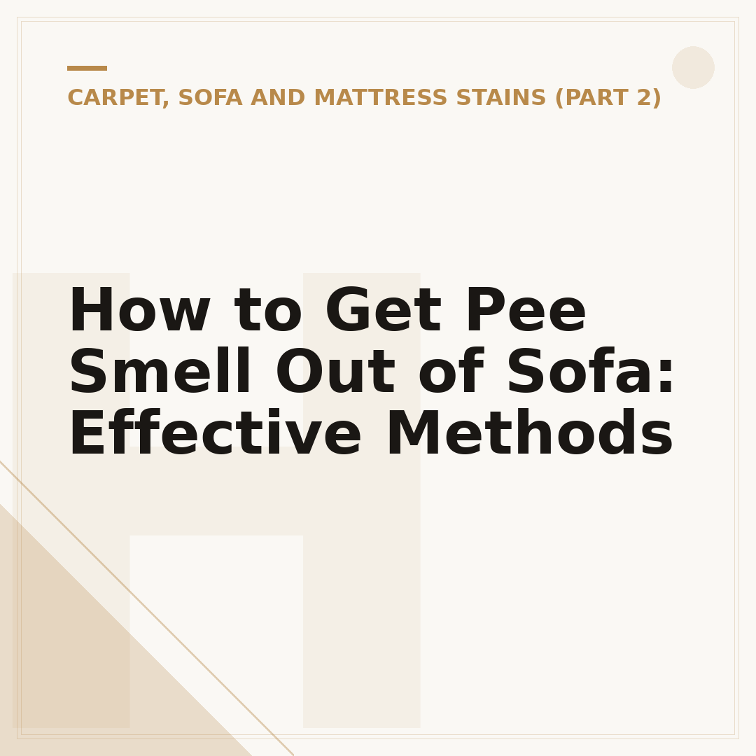 How to Get Pee Smell Out of Sofa: Effective Methods