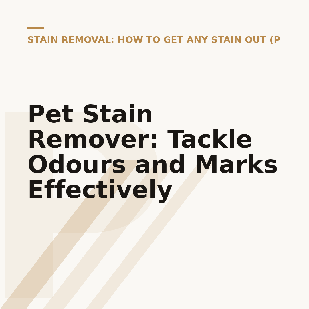 Pet Stain Remover: Tackle Odours and Marks Effectively