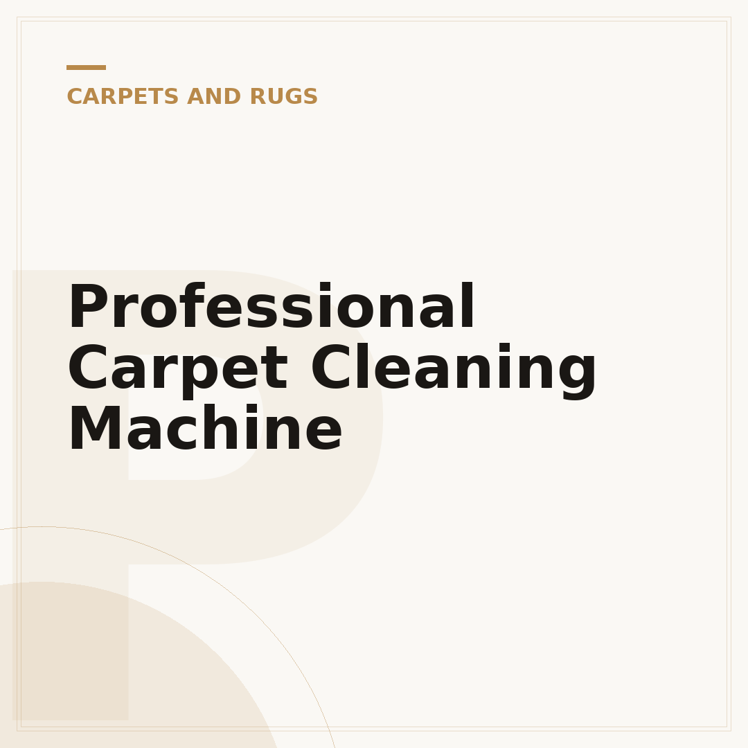 Professional Carpet Cleaning Machine