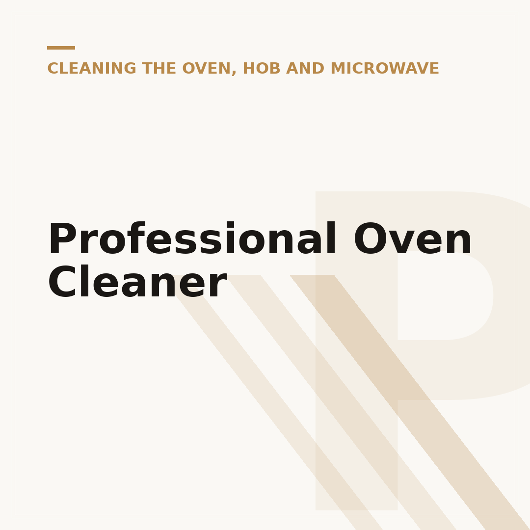Professional Oven Cleaner
