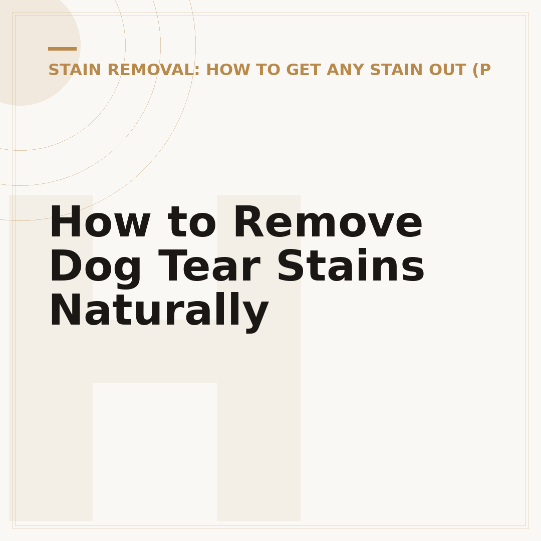 How to Remove Dog Tear Stains Naturally