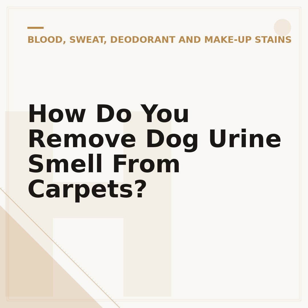 How Do You Remove Dog Urine Smell From Carpets?