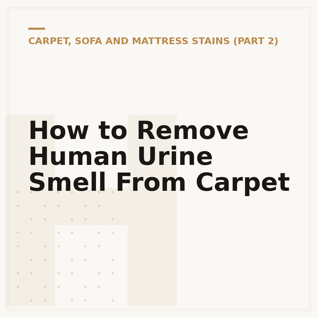 How to Remove Human Urine Smell From Carpet
