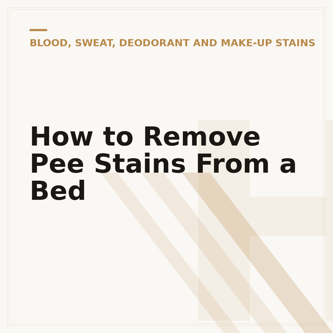 How to Remove Pee Stains From a Bed
