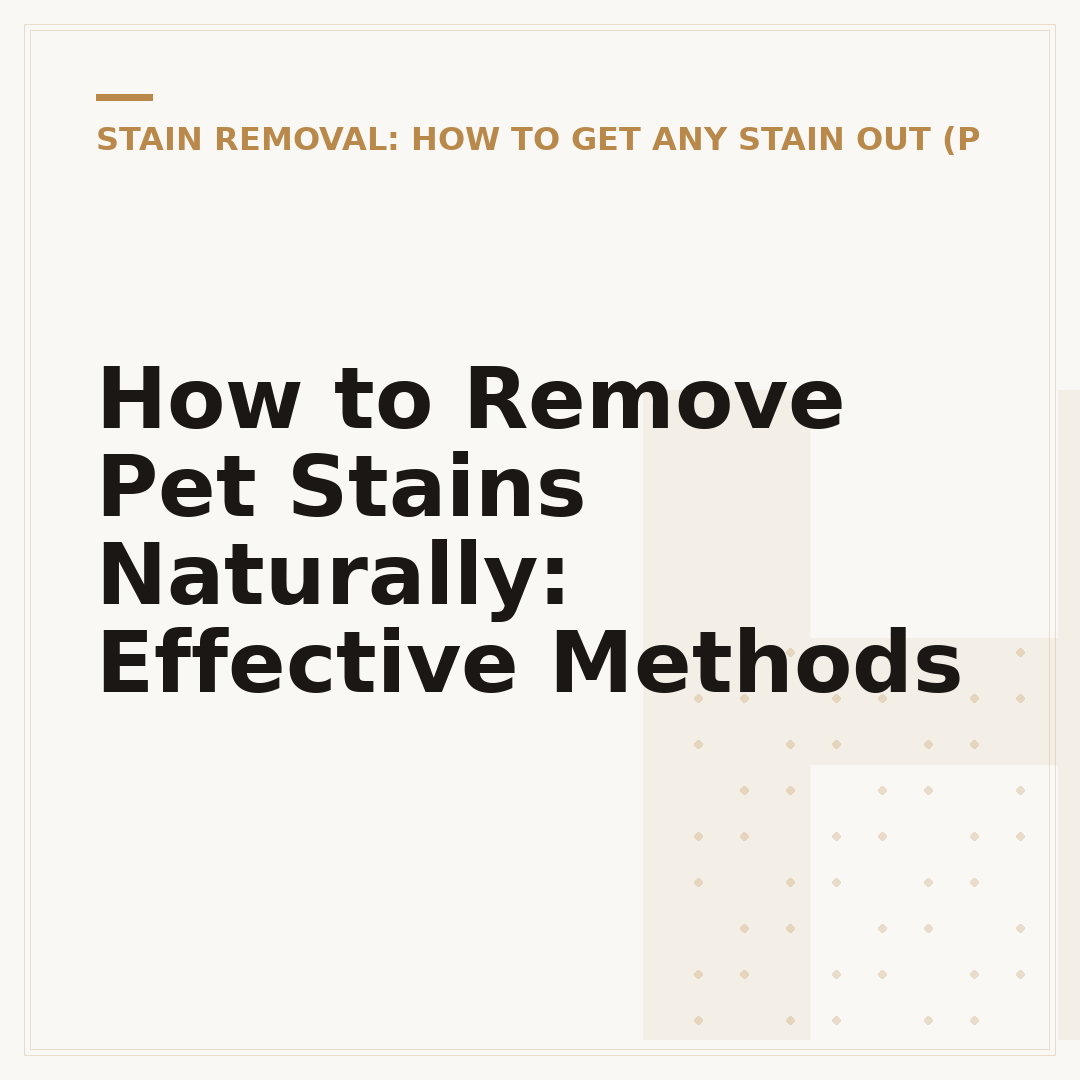How to Remove Pet Stains Naturally: Effective Methods