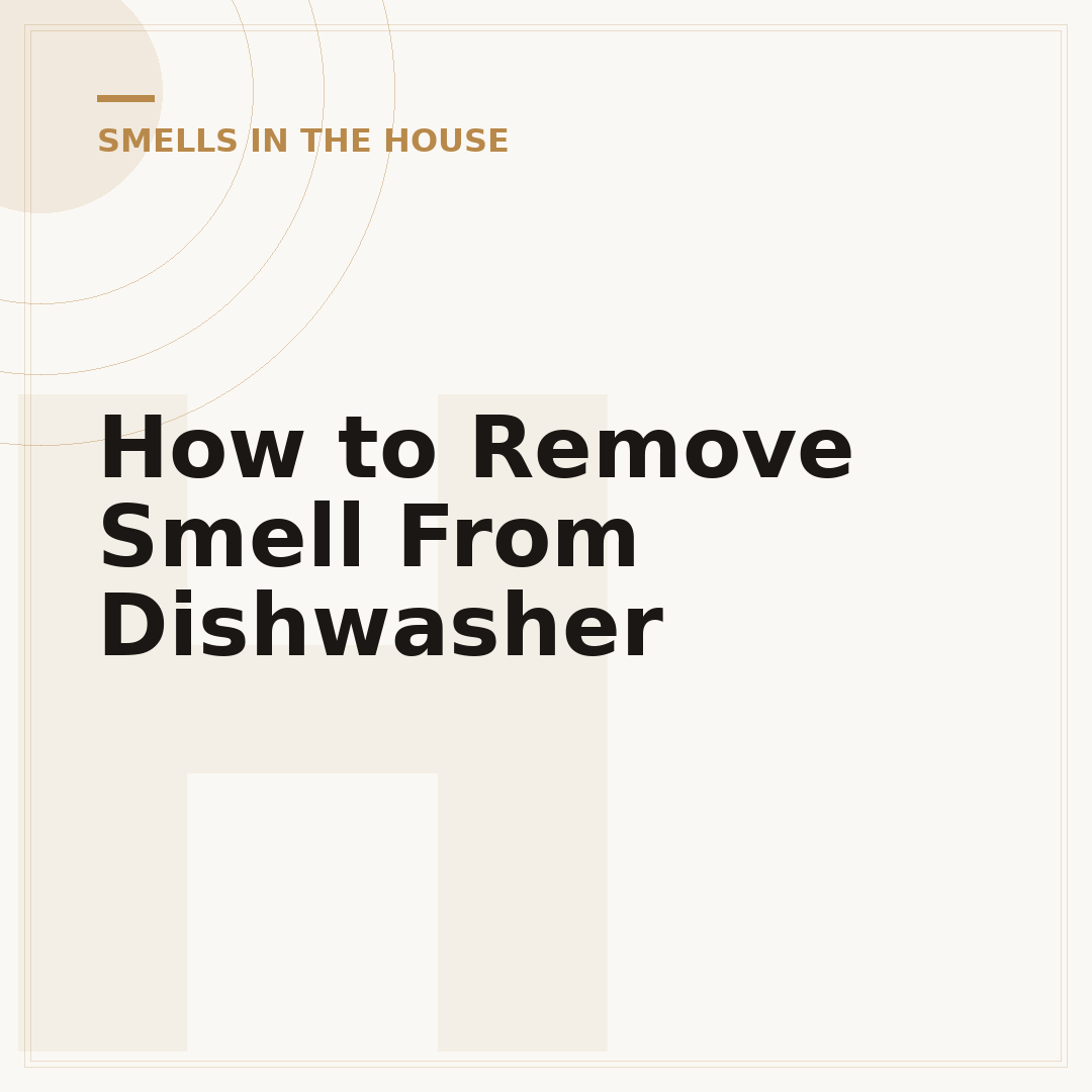 How to Remove Smell From Dishwasher