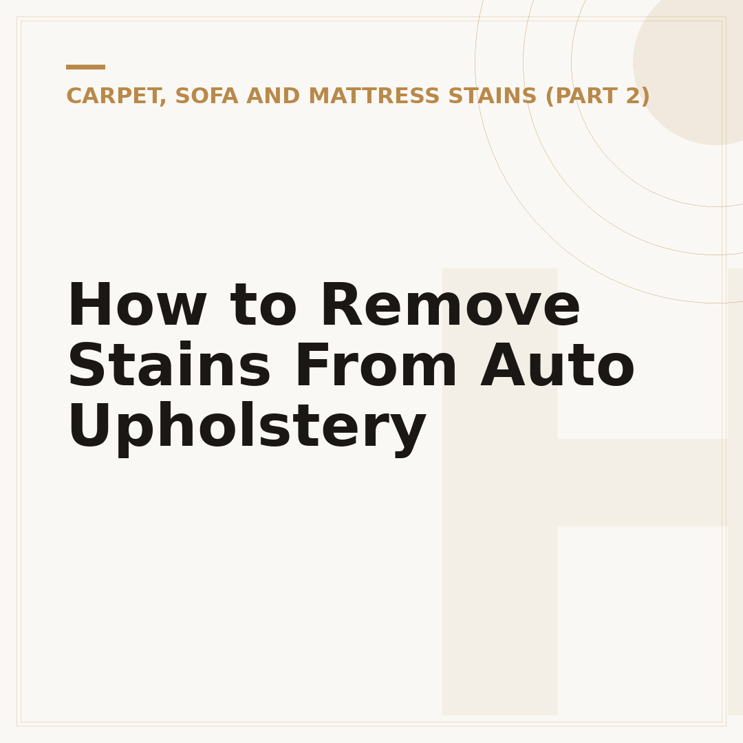 How to Remove Stains From Auto Upholstery