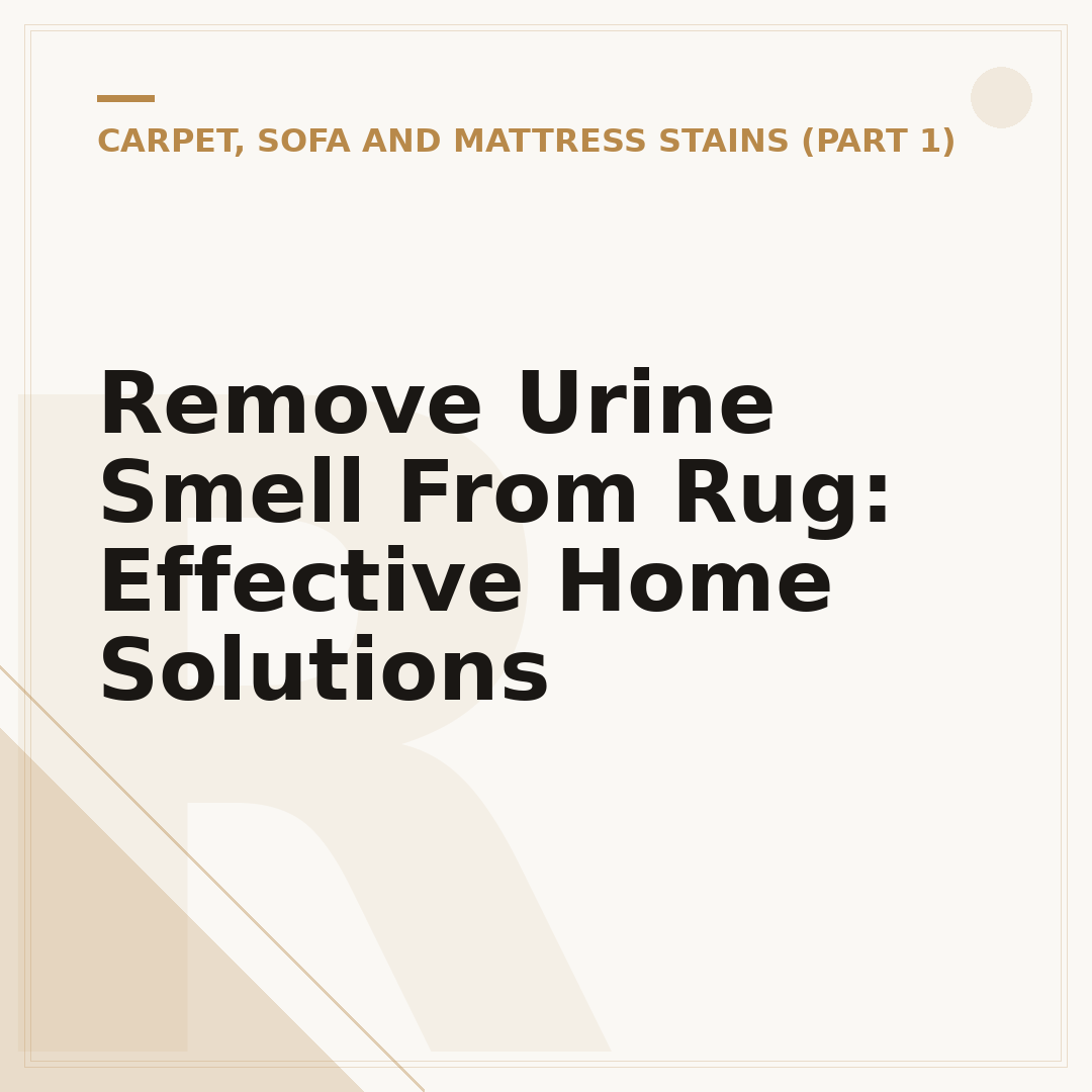 Remove Urine Smell From Rug: Effective Home Solutions