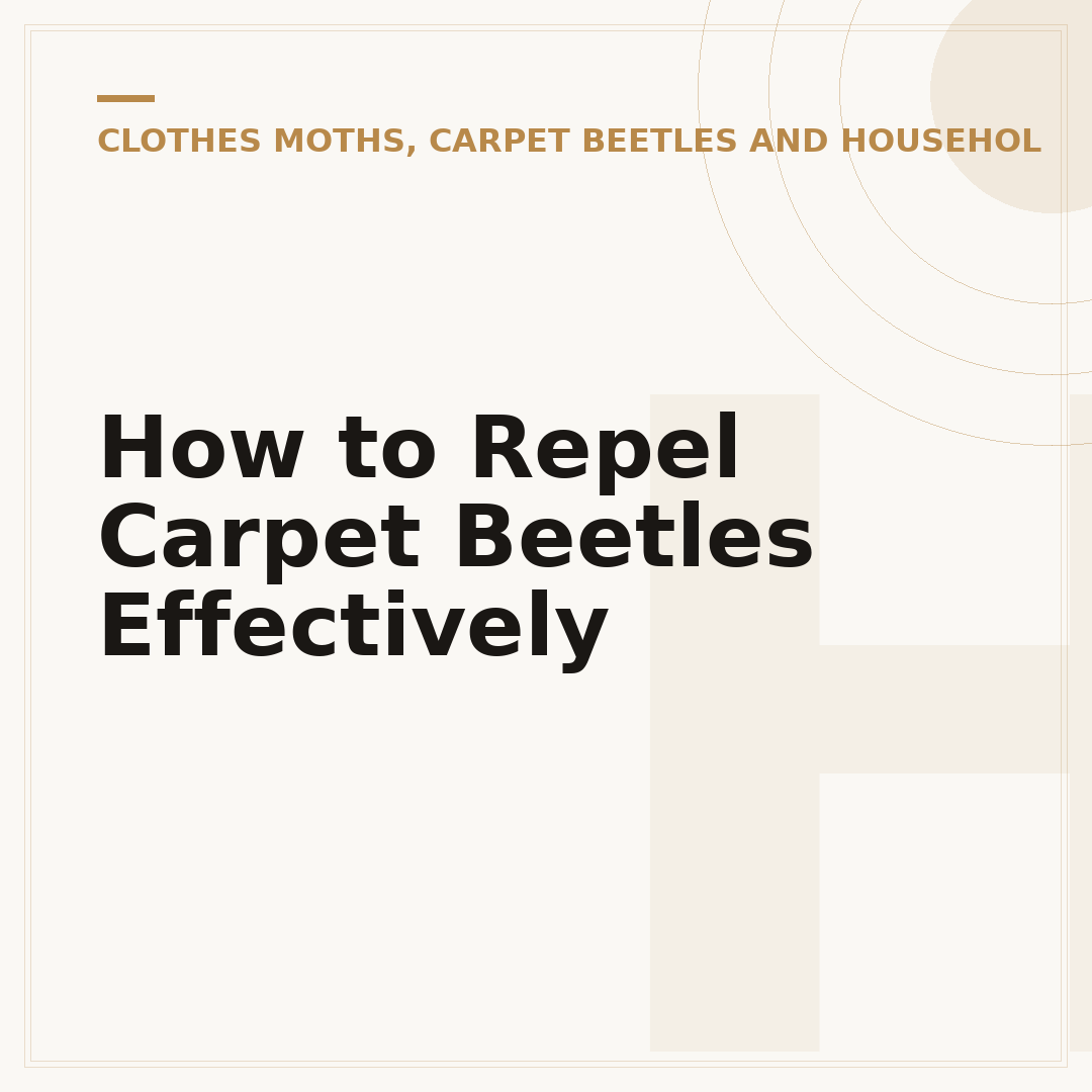 How to Repel Carpet Beetles Effectively