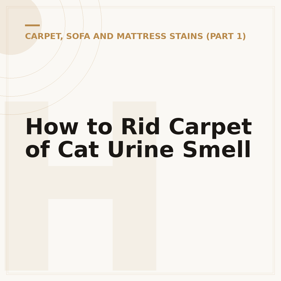 How to Rid Carpet of Cat Urine Smell