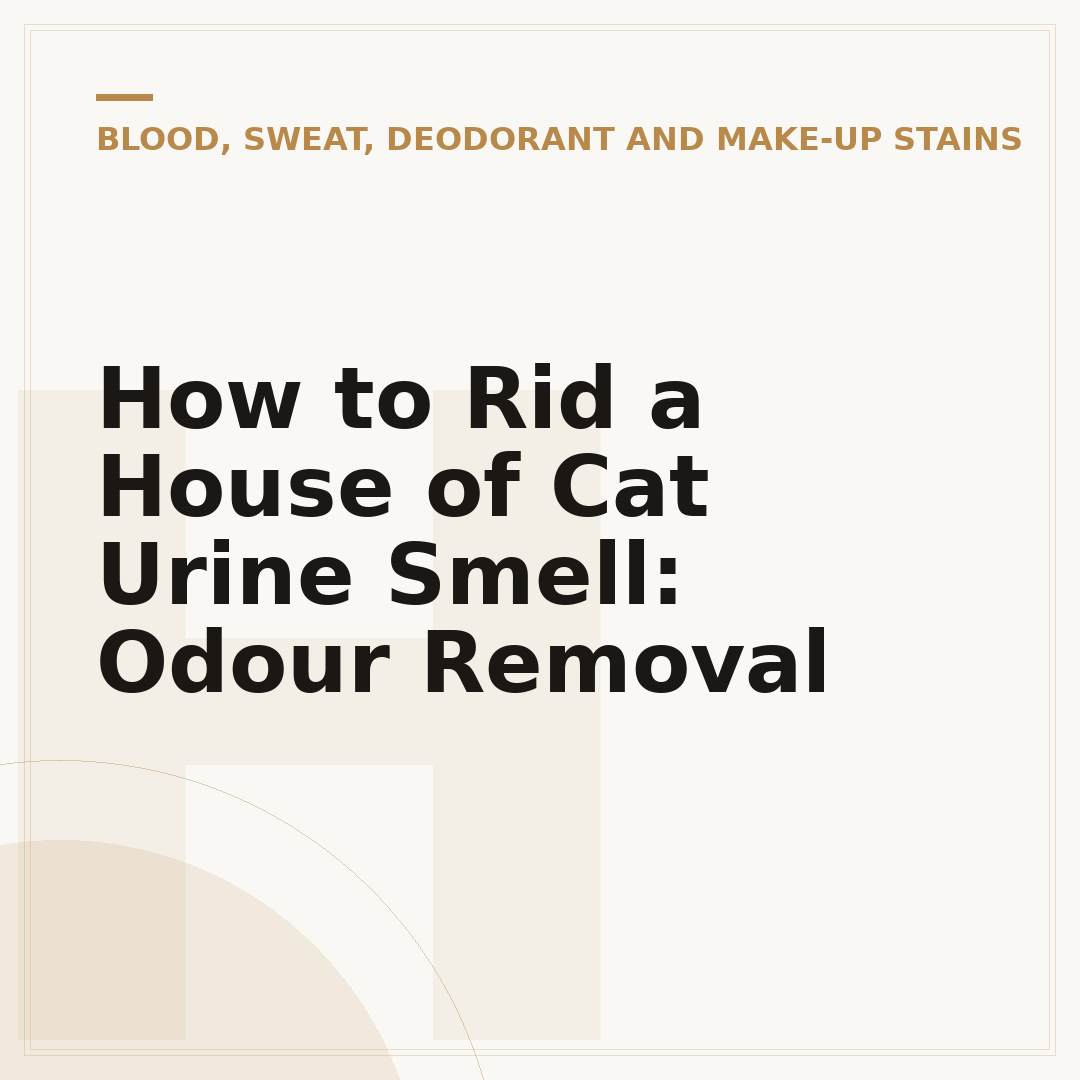 How to Rid a House of Cat Urine Smell: Odour Removal