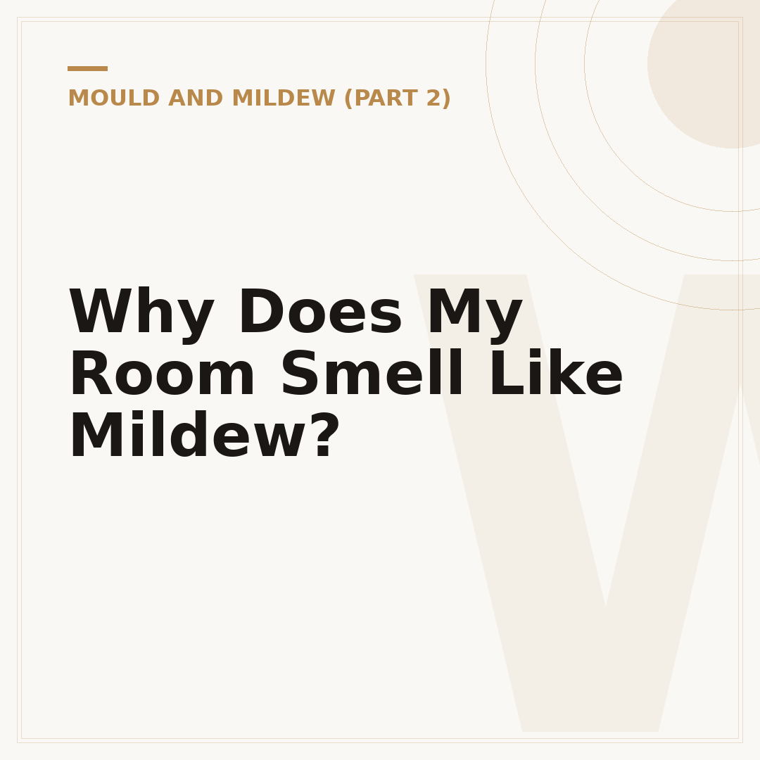 Why Does My Room Smell Like Mildew?