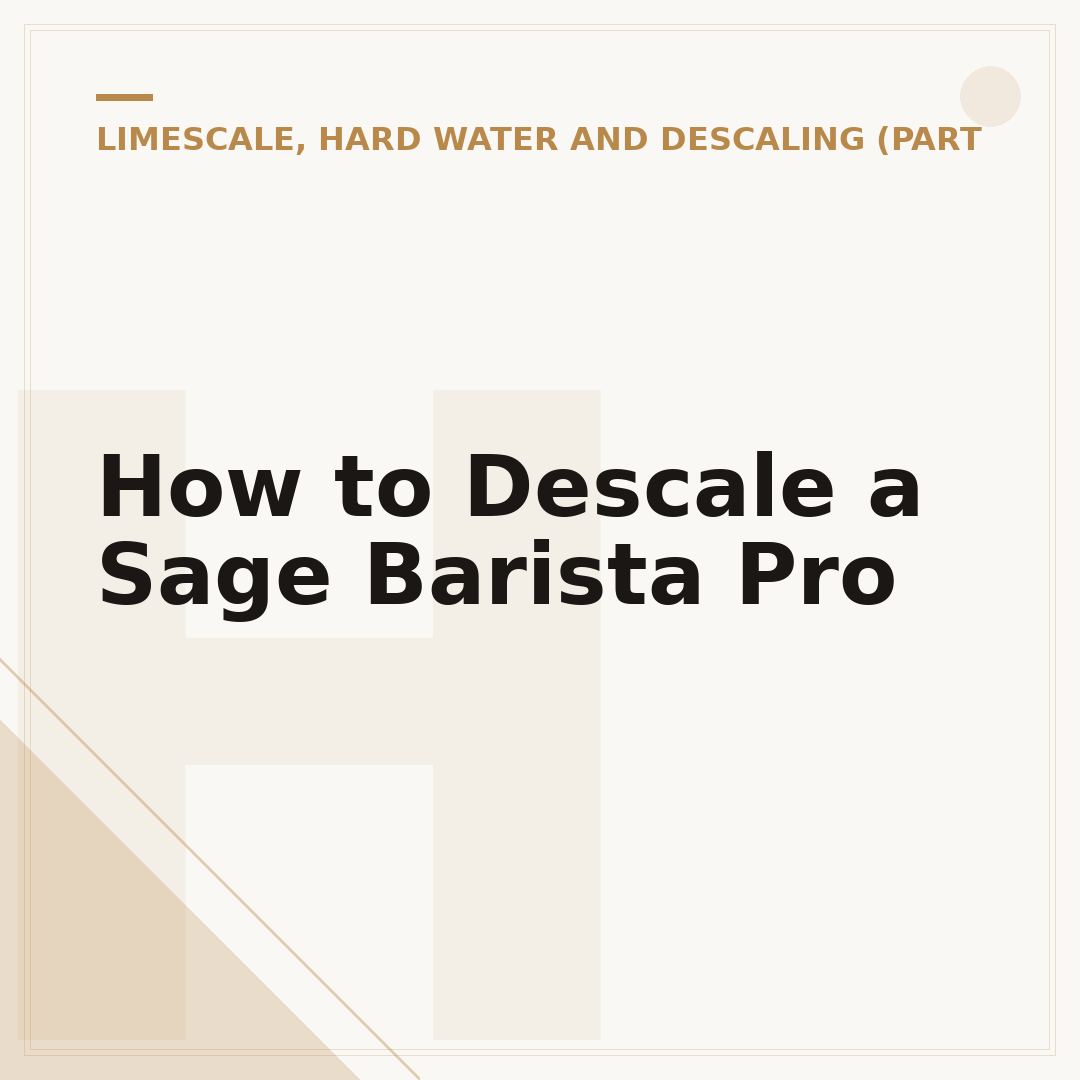 How to Descale a Sage Barista Pro