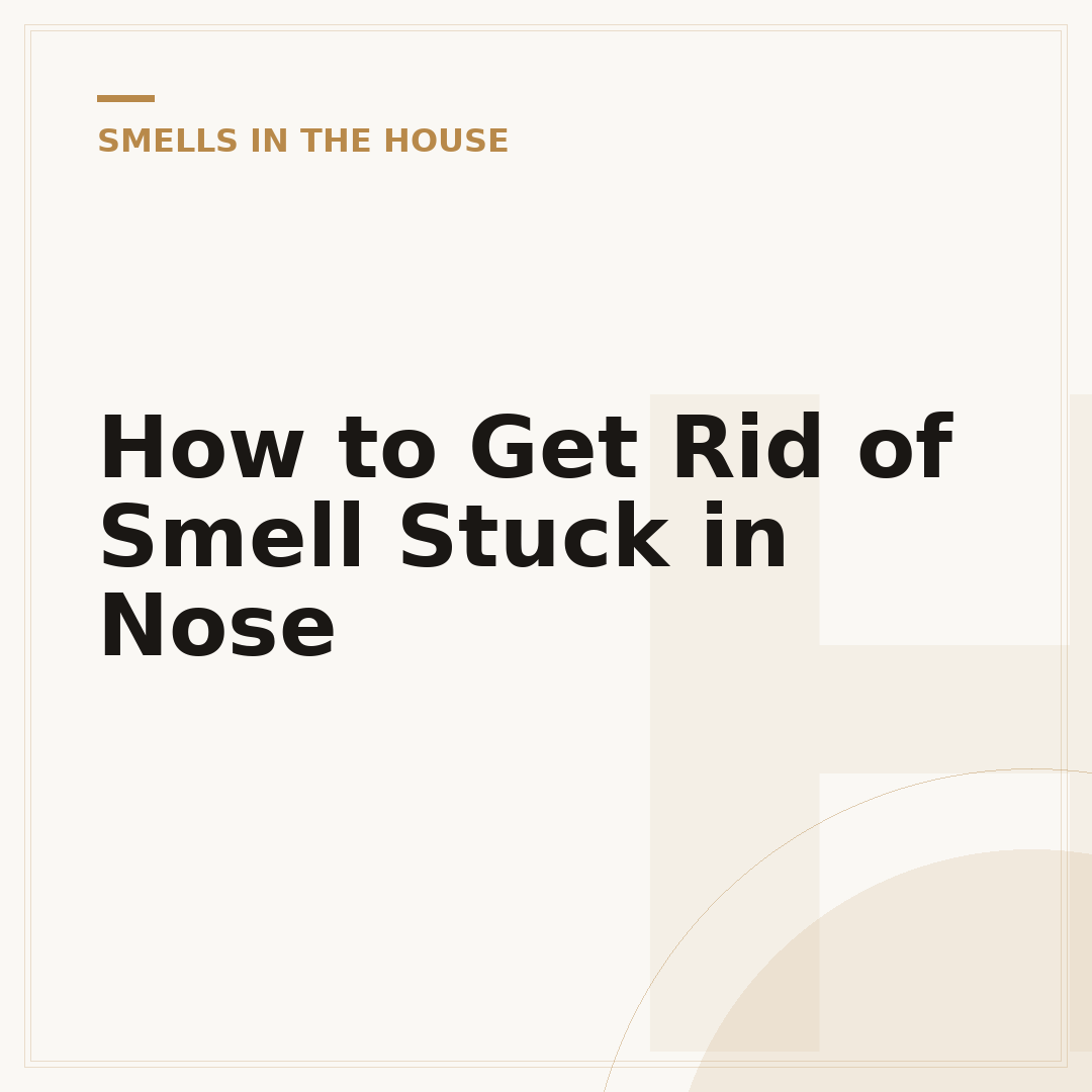 How to Get Rid of Smell Stuck in Nose