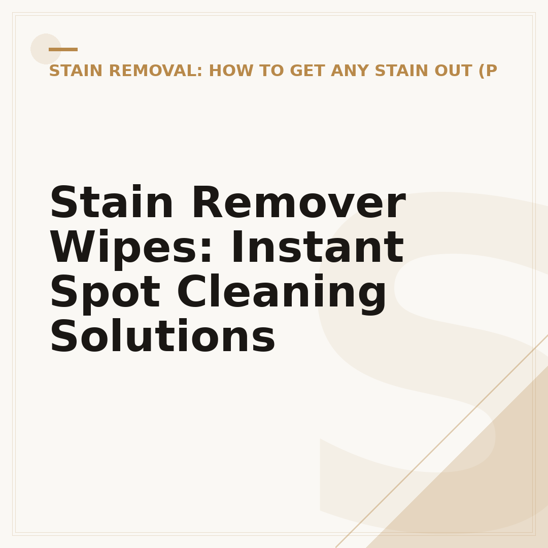 Stain Remover Wipes: Instant Spot Cleaning Solutions