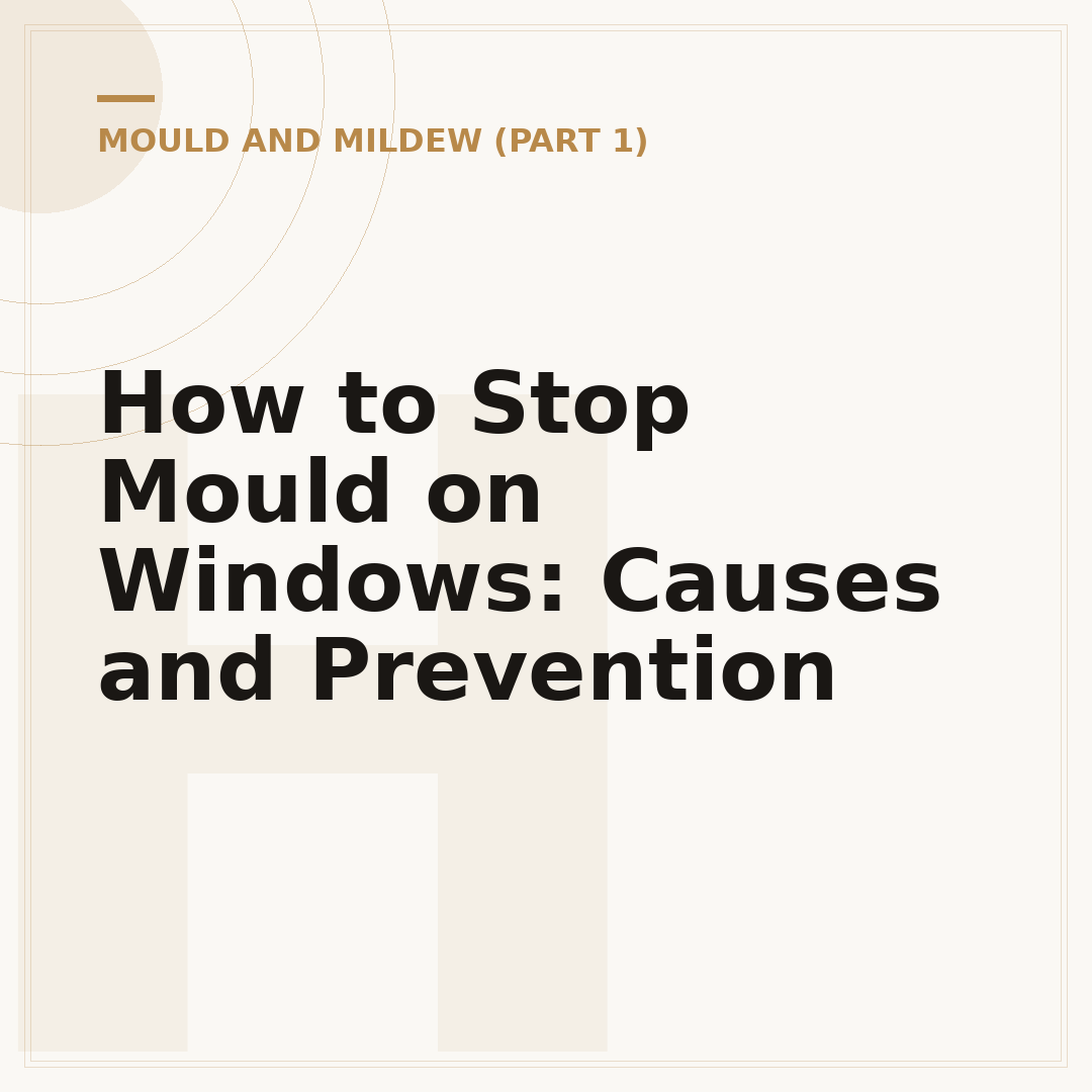 How to Stop Mould on Windows: Causes and Prevention