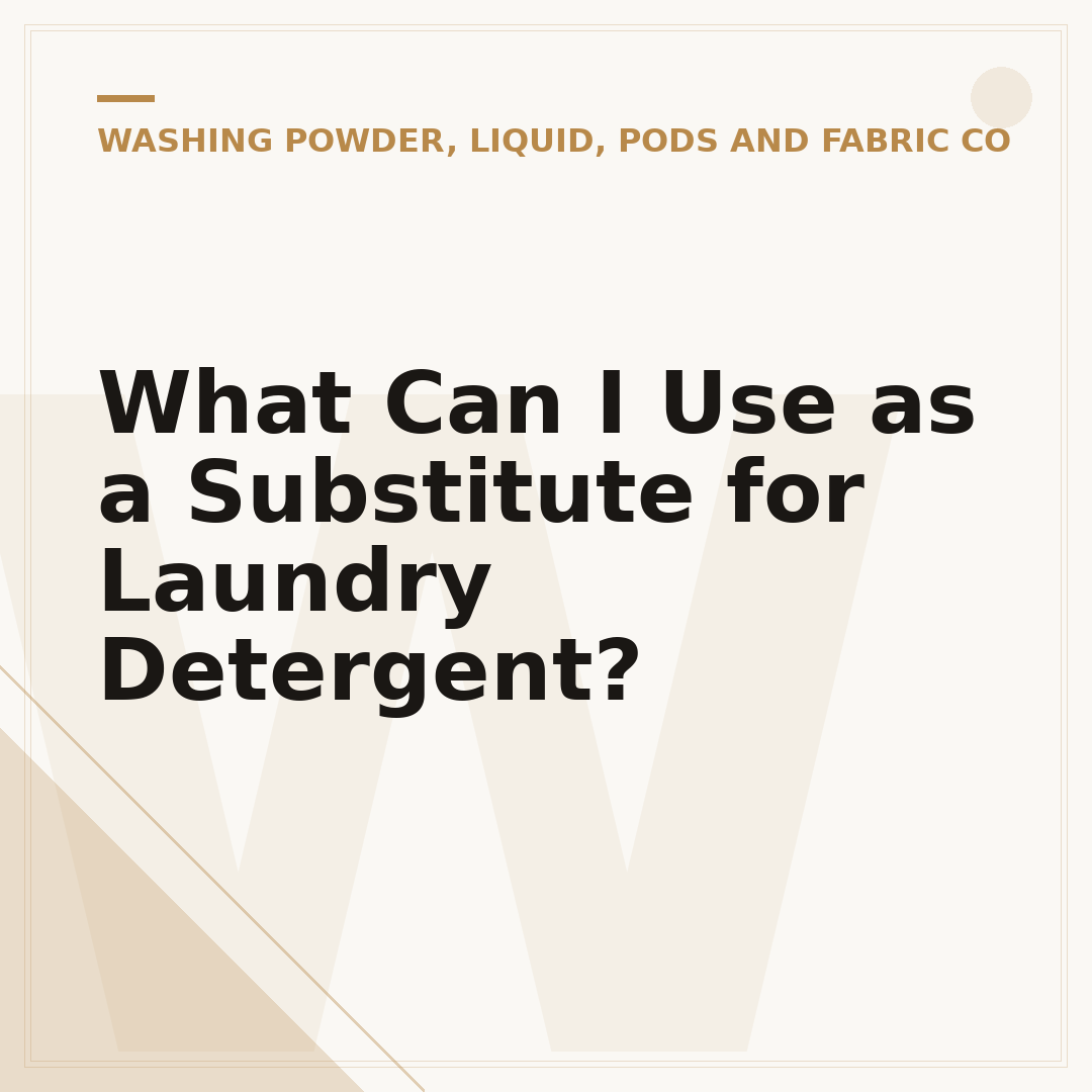 What Can I Use as a Substitute for Laundry Detergent?