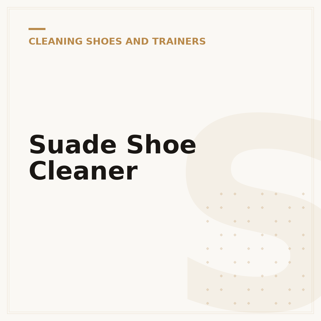 Suade Shoe Cleaner