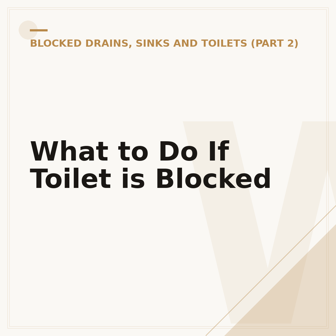 What to Do If Toilet is Blocked