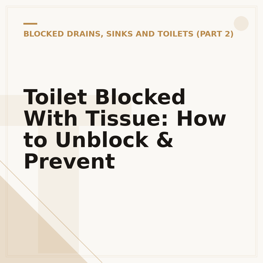 Toilet Blocked With Tissue: How to Unblock & Prevent