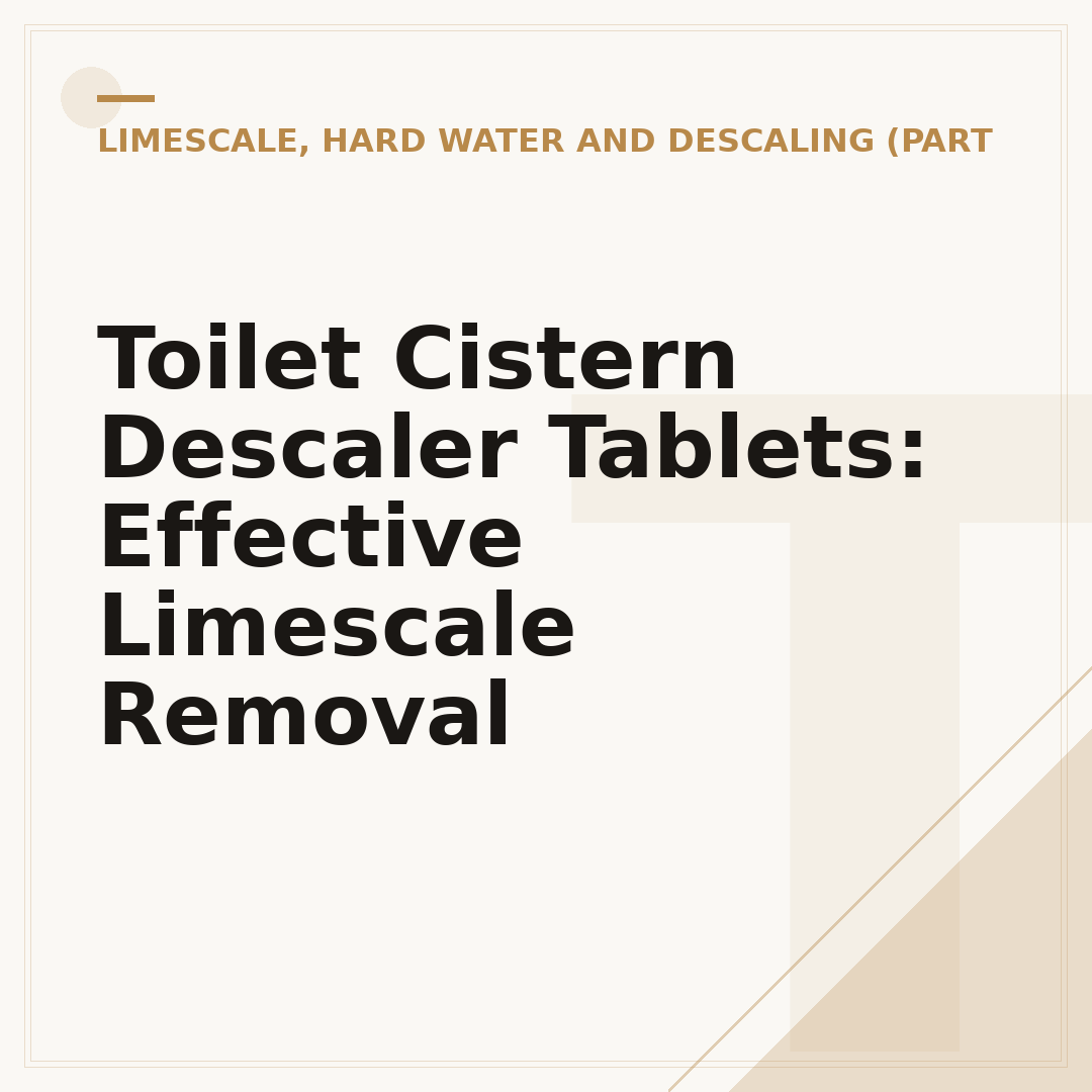 Toilet Cistern Descaler Tablets: Effective Limescale Removal