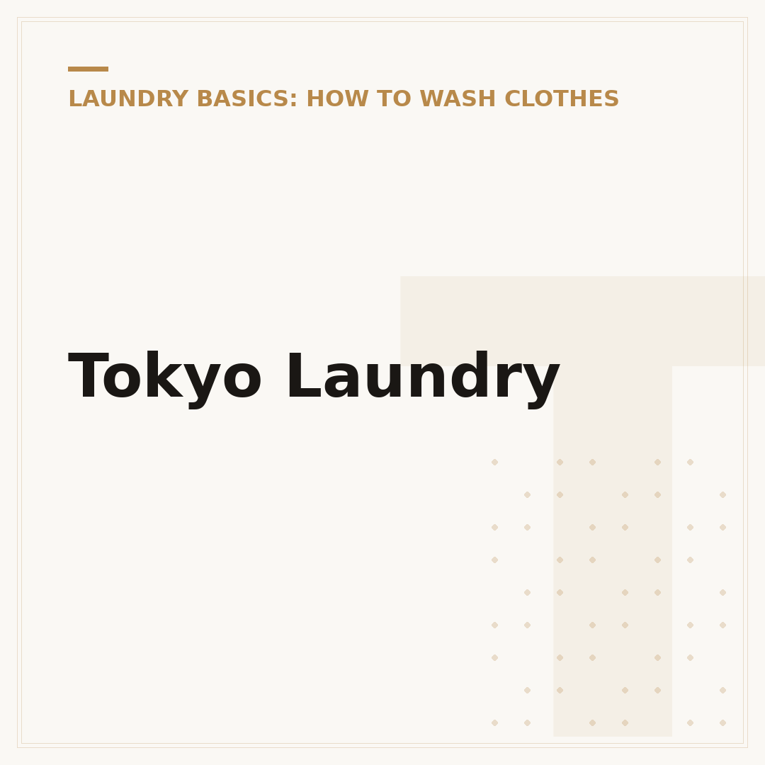 Tokyo Laundry