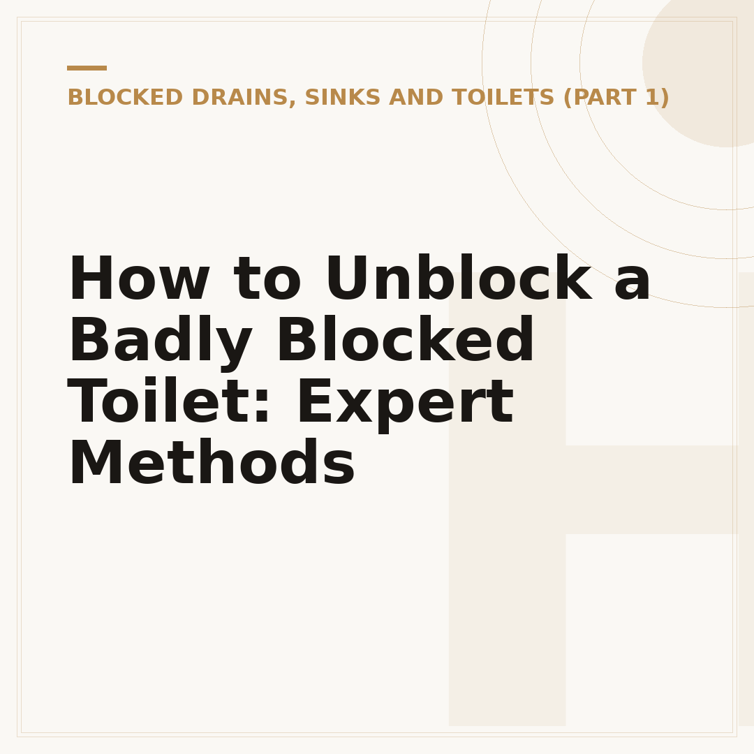 How to Unblock a Badly Blocked Toilet: Expert Methods