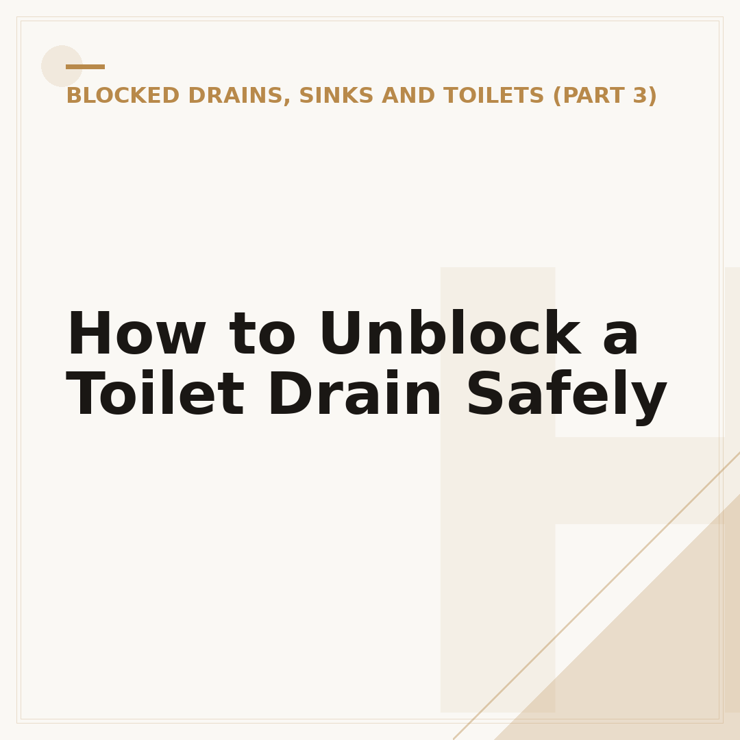 How to Unblock a Toilet Drain Safely
